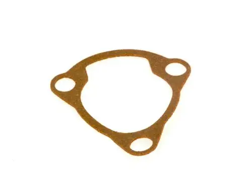 Dichtung in Form eines Ringes mit zwei Durchgangsbohrungen, hergestellt von Bosch, zur Verwendung in technischen Anwendungen oder Motoren.